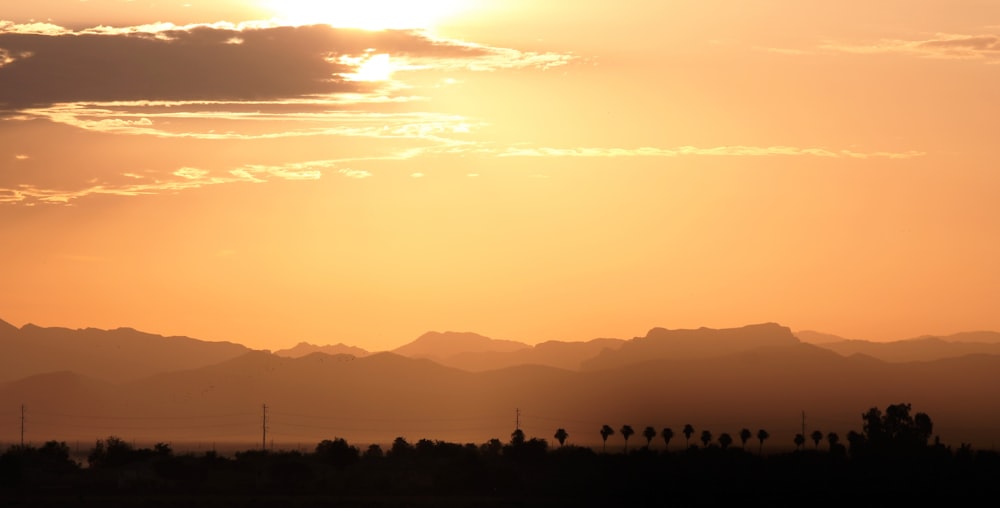 silhouette of trees and hills during golden hour