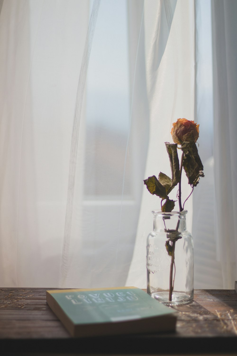 orange rose flower on clear glass jar \