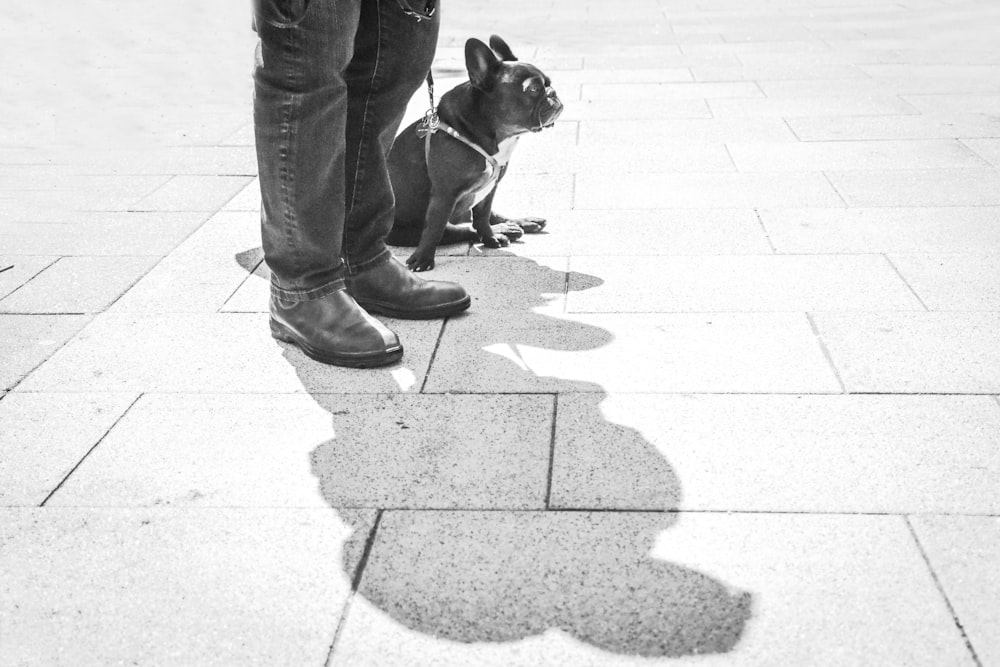 grayscale photography of person standing beside pug