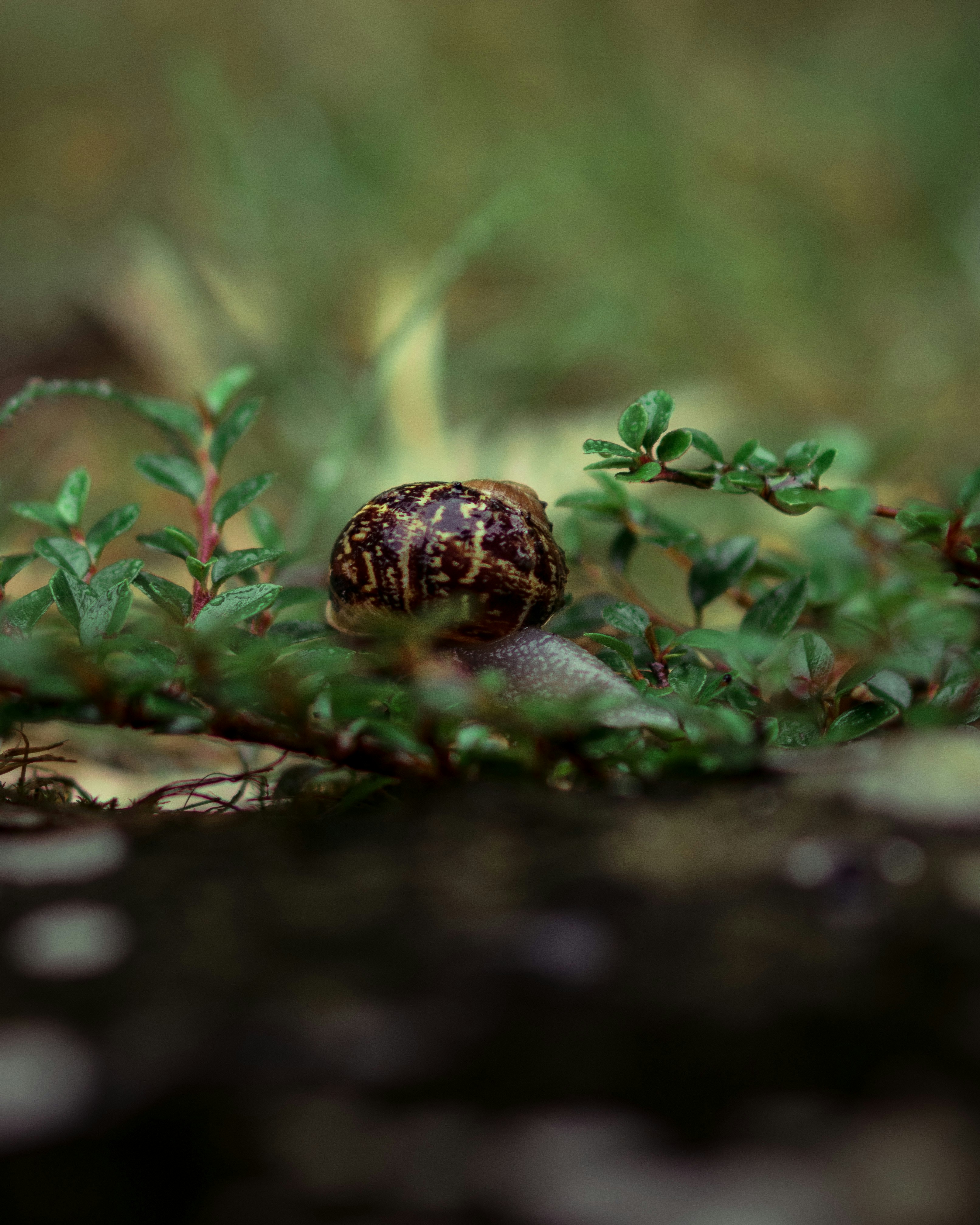 Photo by lachlangowen