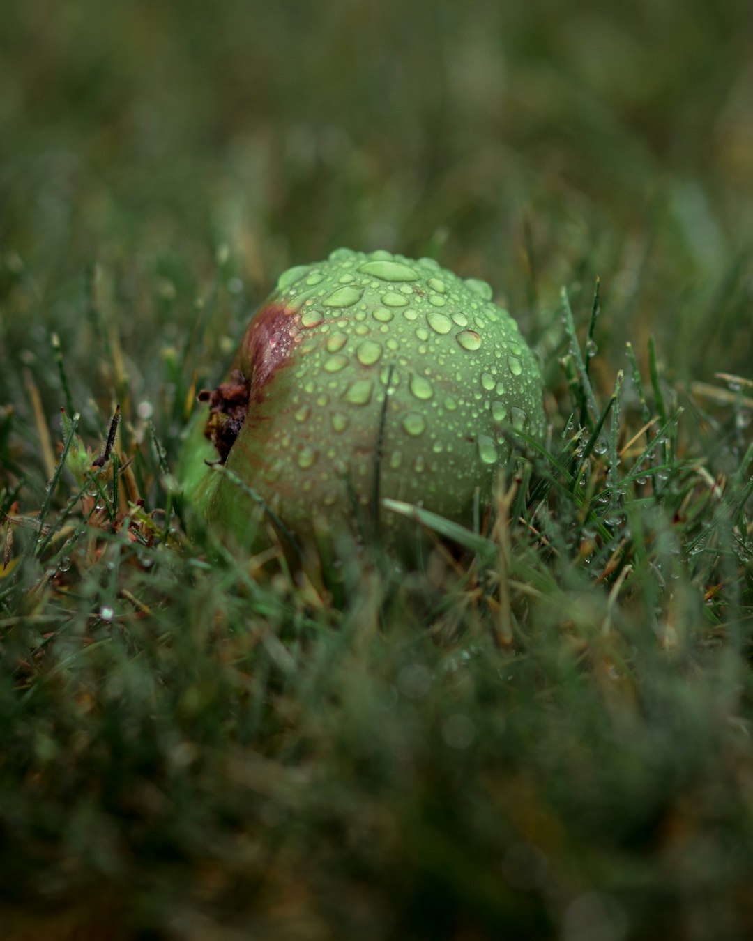 green fruit