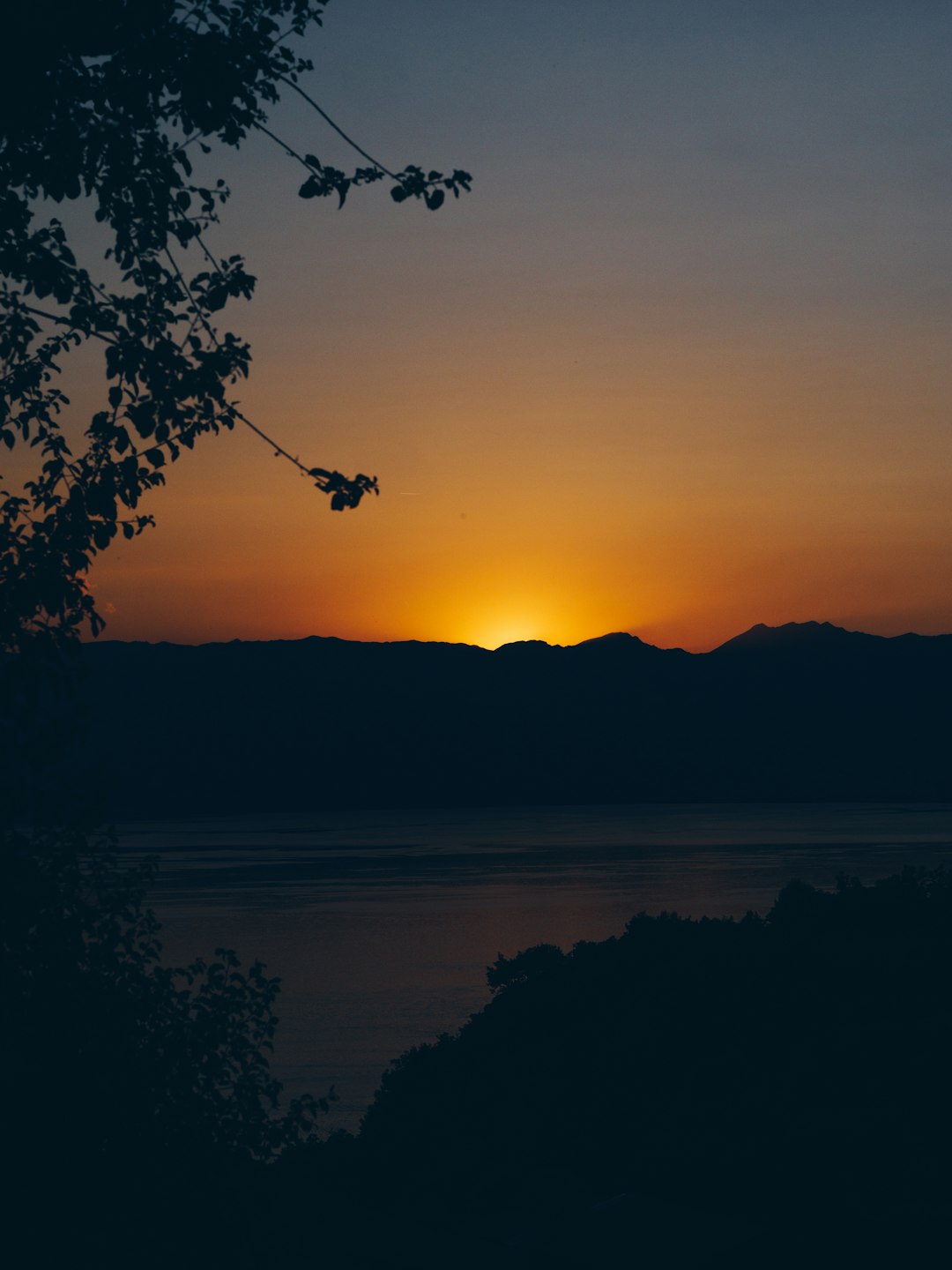 silhouette photography of trees and body of water