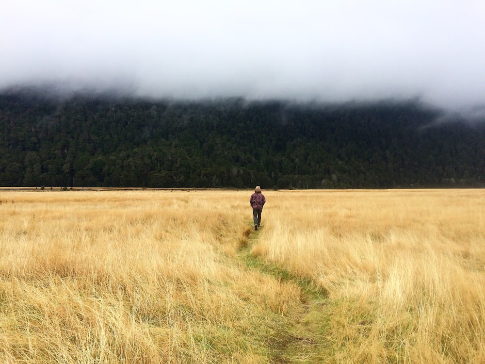 person walking beside plants