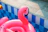 A bright pink flamingo pool float bobbing gently on a sunny backyard pool.