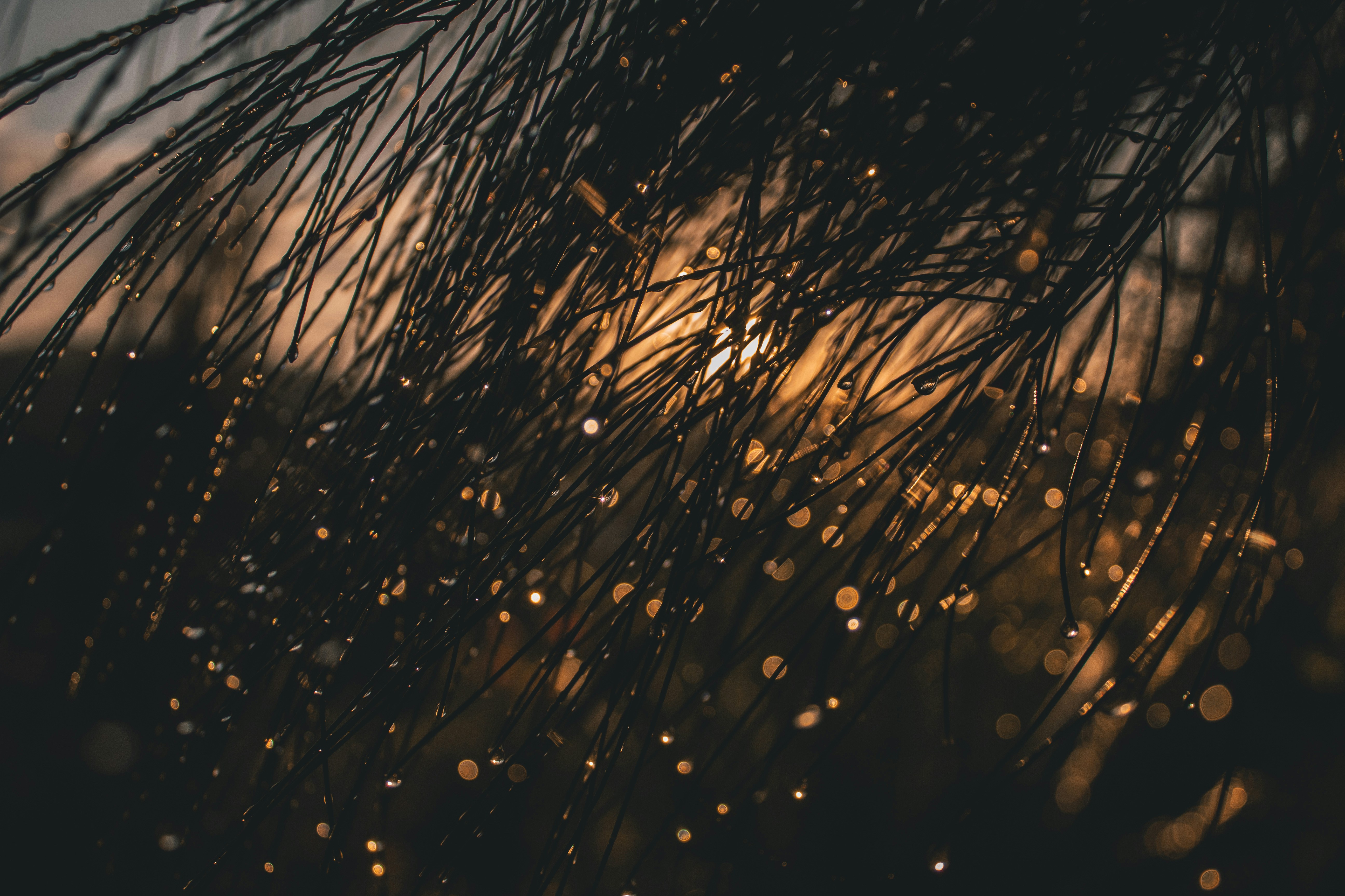 Photo by creativephoto77