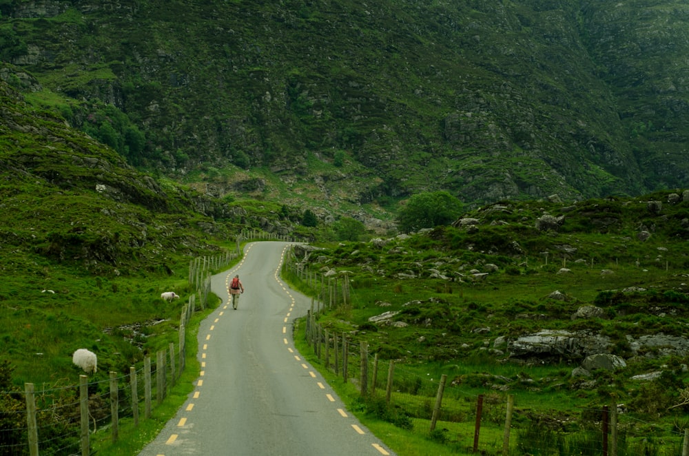 a person riding a bike down a road in the mountains