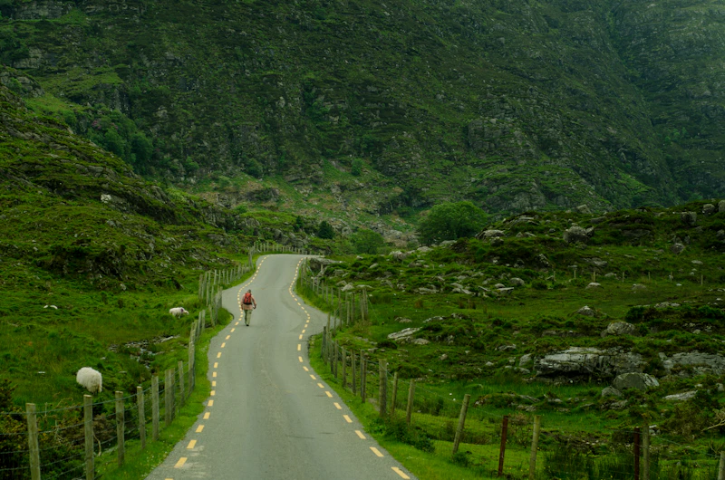 Best Budget Hostels in Killarney That Are Actually Worth Staying In