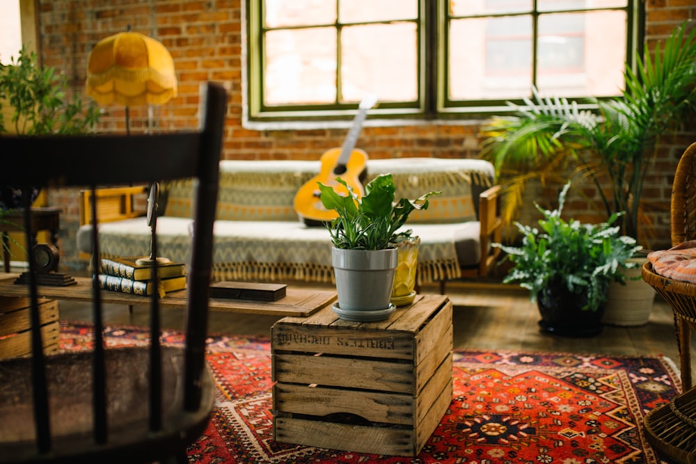 potted plants around a living room