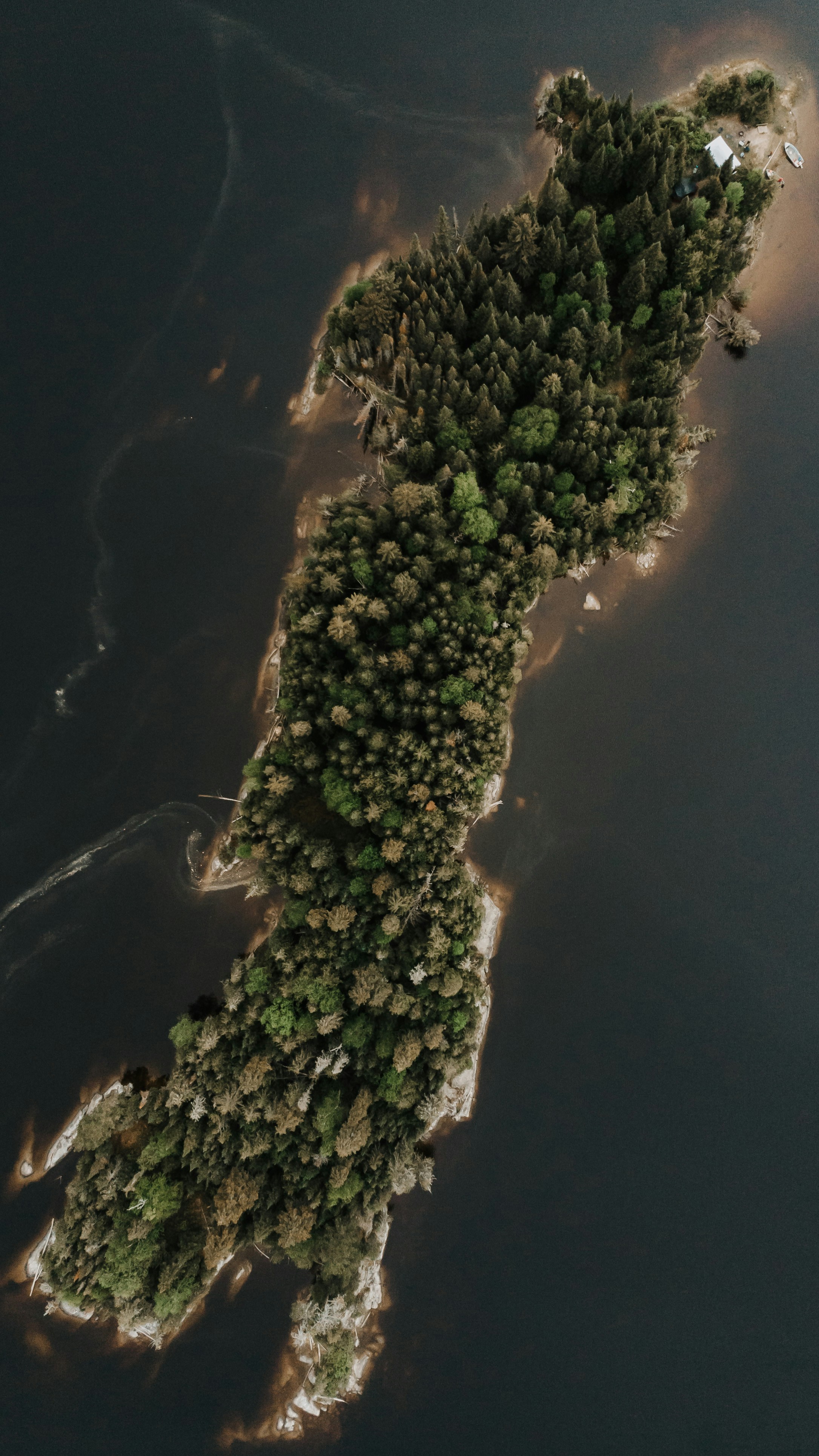 Photo by andriklangfield