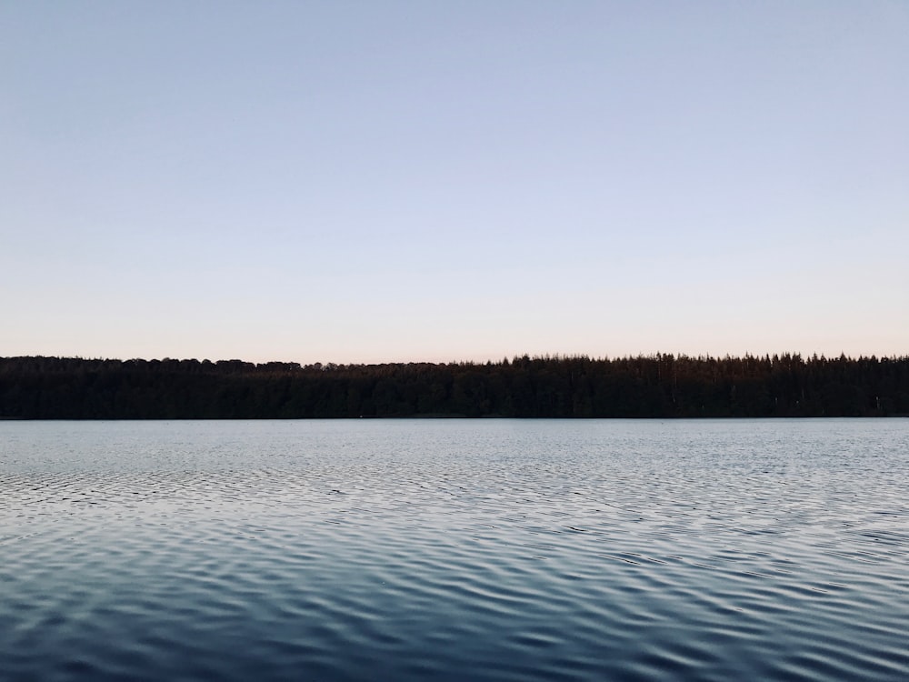 body of water near field of trees