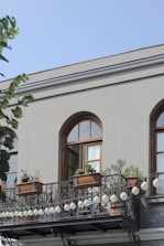 lined green leafed plants