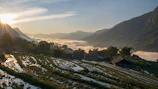 Sunlit terraced rice paddies with farmers tending crops at dawn.