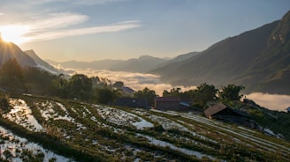 A serene sunrise over the misty rice terraces in northern Vietnam, framed by lush green mountains.