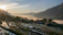 A serene sunrise yoga session overlooking lush Bali rice terraces.