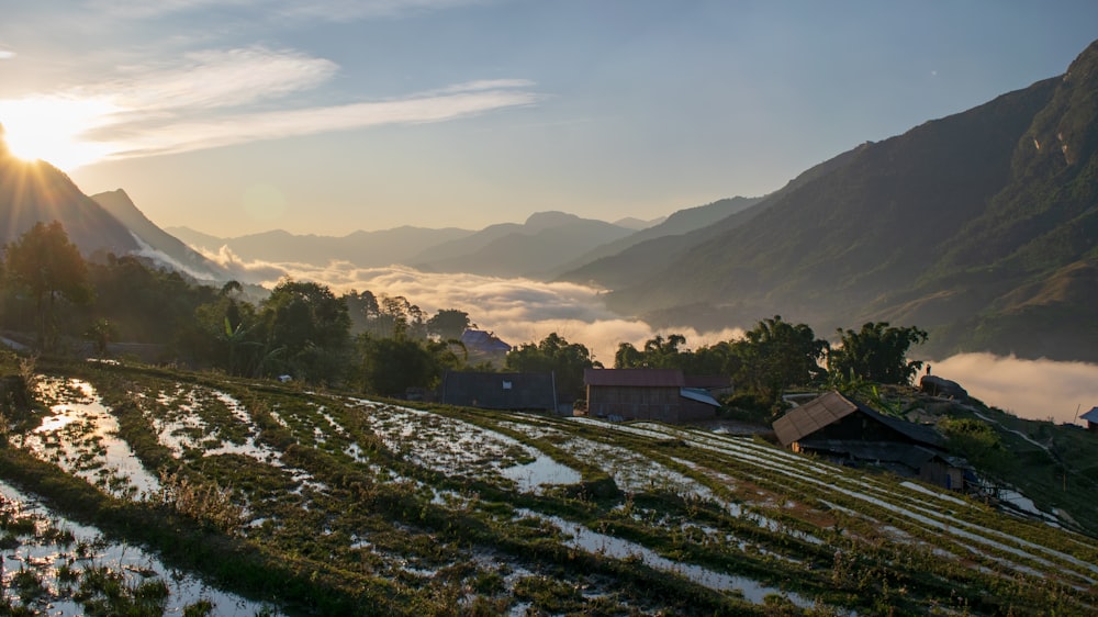 the sun is setting over a rice field