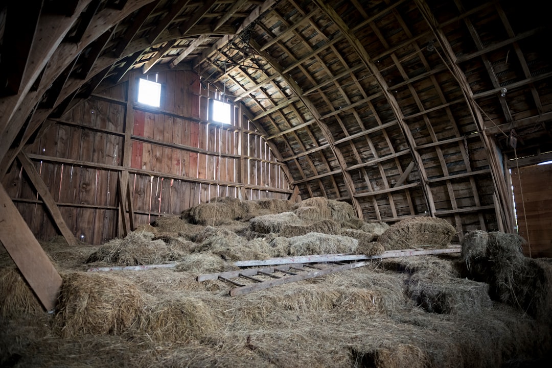 穀倉是一種農業建築物，主要作為牲畜的住房和儲存農作物使用