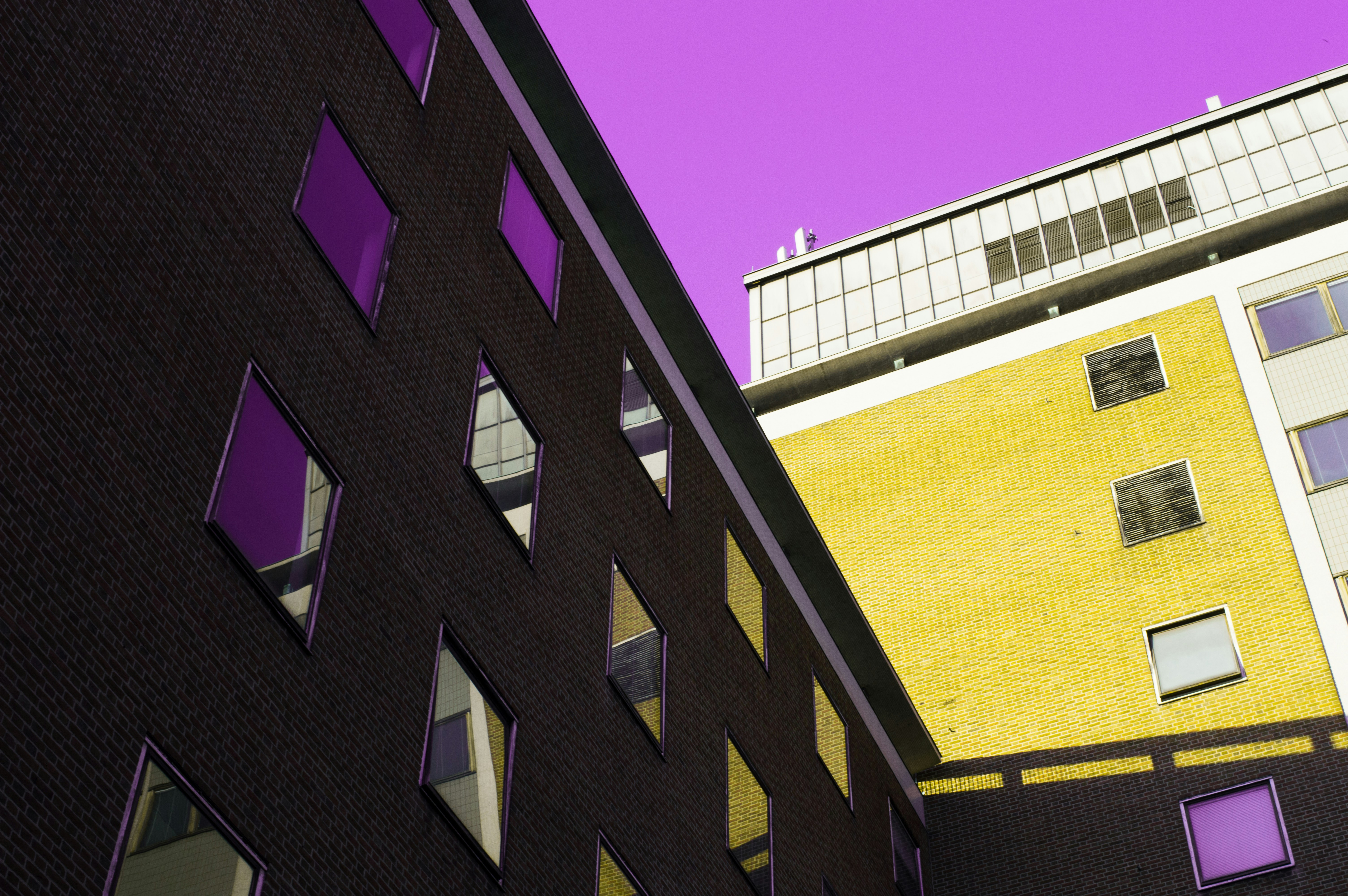 Husky Avax header image