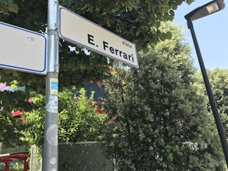 A street sign labeled 'Viale E. Ferrari' is mounted on a metal pole surrounded by lush green trees. The sign has a blue border and is partially shadowed by leaves. Below the sign, several stickers are attached to the pole. A streetlamp is visible on the right side, and the background consists of dense foliage with some hints of a building structure partially obscured by the trees.