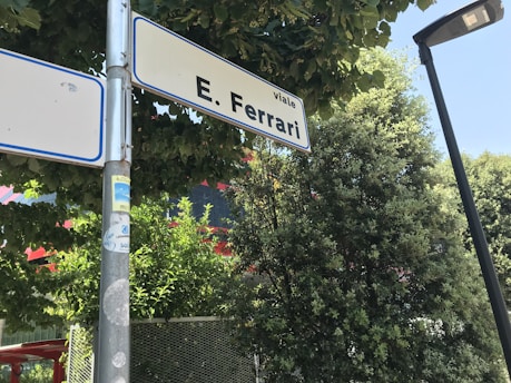A street sign labeled 'Viale E. Ferrari' is mounted on a metal pole surrounded by lush green trees. The sign has a blue border and is partially shadowed by leaves. Below the sign, several stickers are attached to the pole. A streetlamp is visible on the right side, and the background consists of dense foliage with some hints of a building structure partially obscured by the trees.