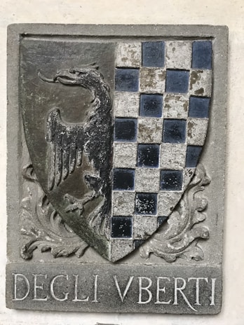 A stone relief featuring a heraldic shield. On the left, a detailed depiction of a bird with an elongated neck, likely an eagle or similar creature. The right side of the shield displays a checkered pattern of dark blue and white squares. Below the shield, the engraving reads 'DEGLI VBERTI'. The overall design is set against a rectangular stone background with subtle ornamental carvings.