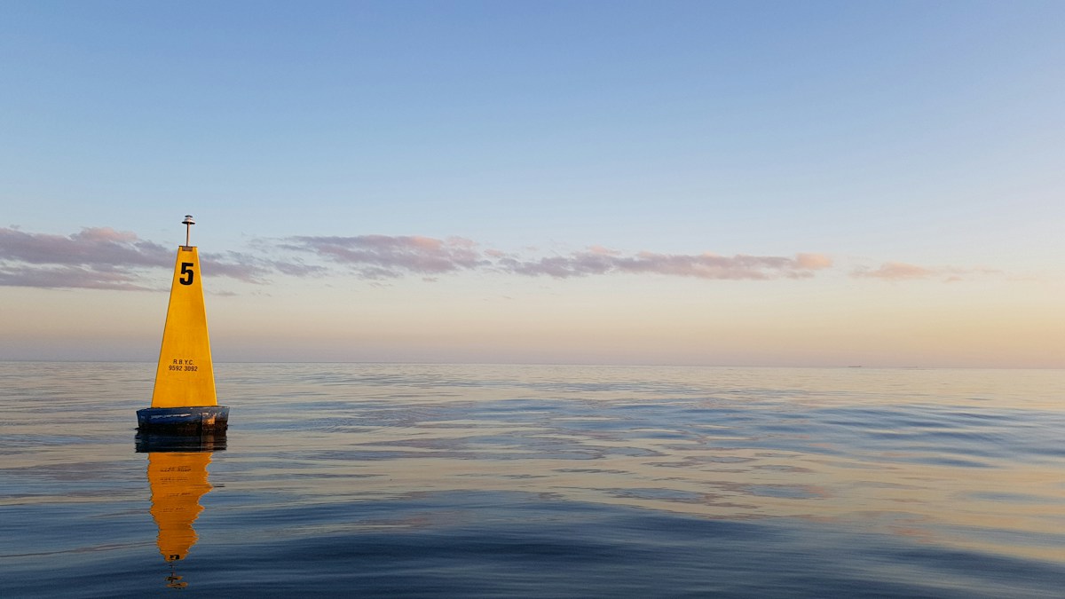Understanding the Difference: Why 5D Relationships Feel Calm While 3D Relationships Feel Chaotic