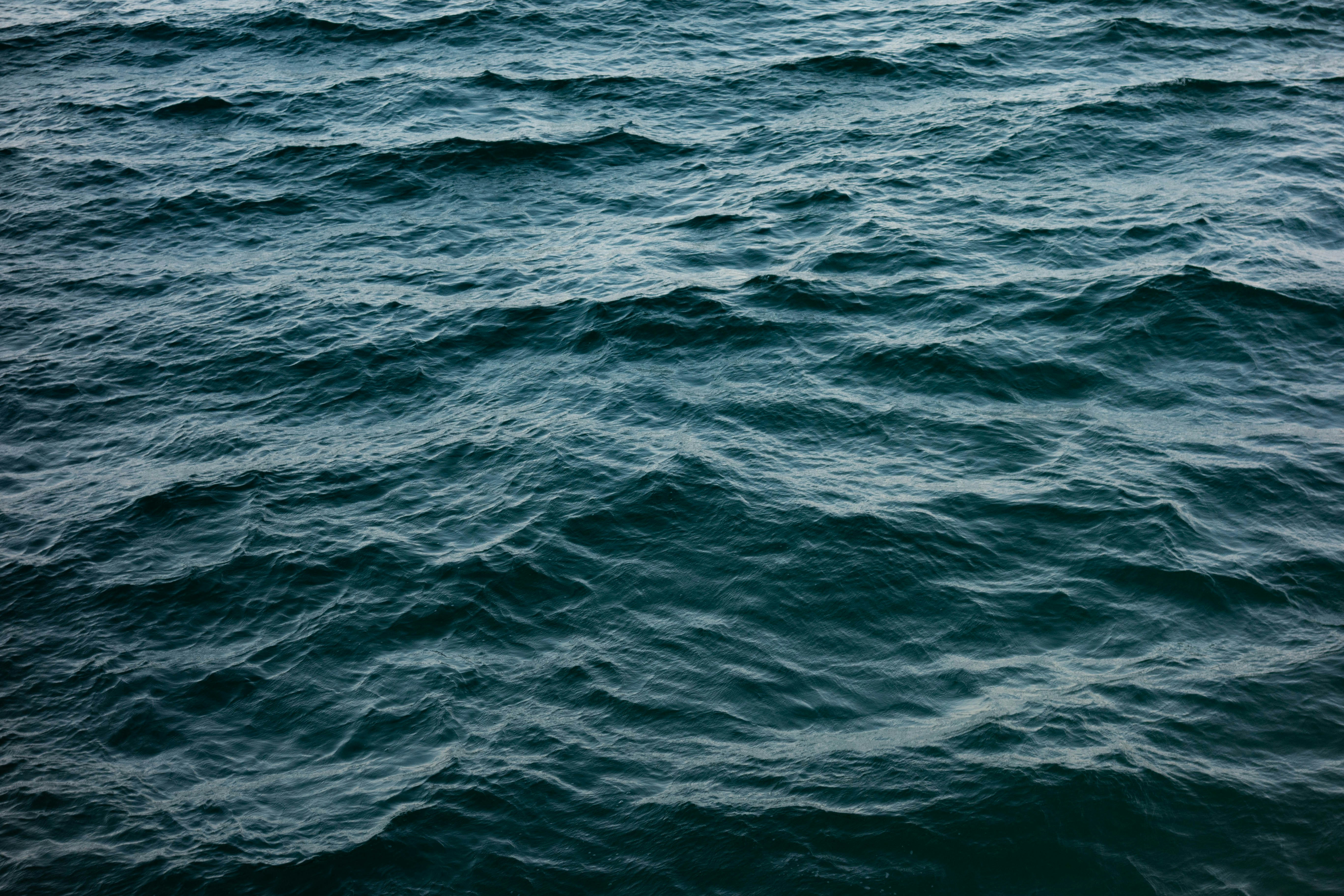 Photo by pimentelrafa