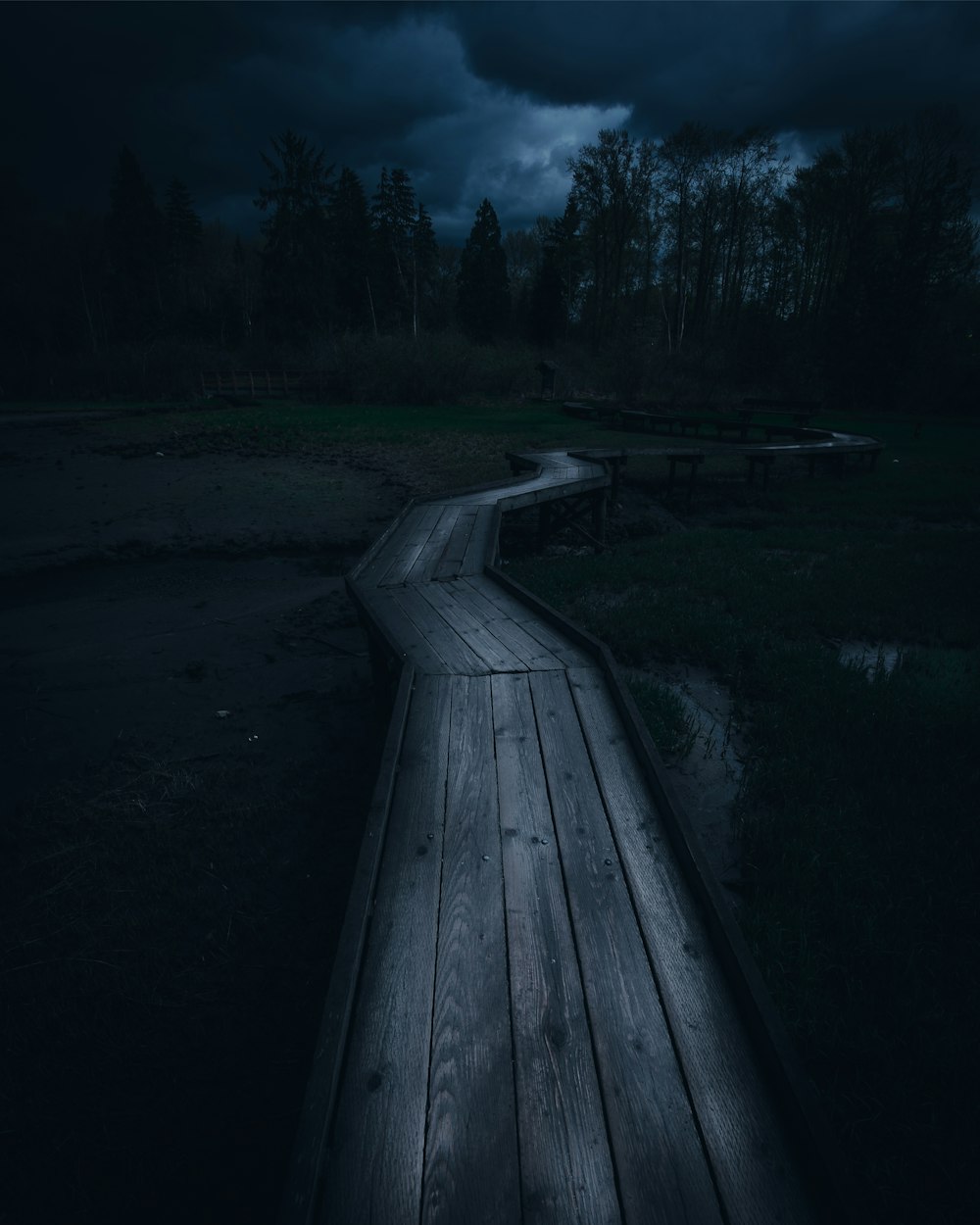 wooden winding road between trees during nighttime