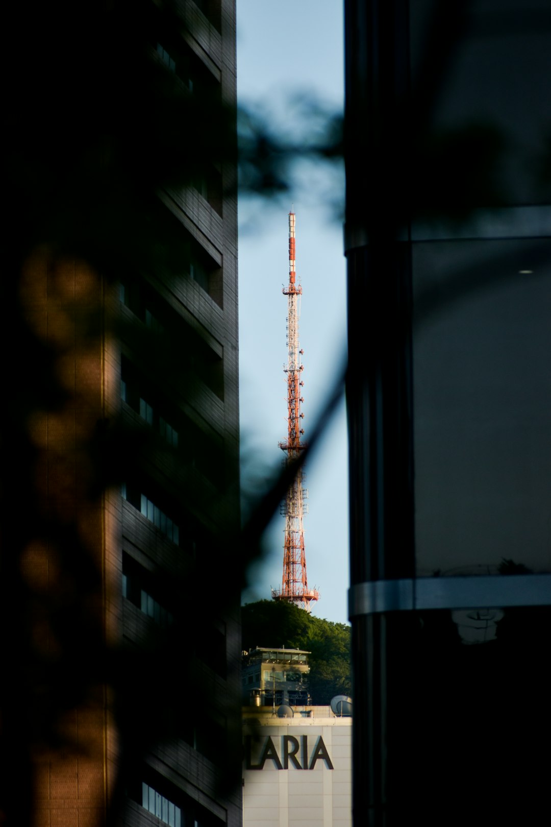 orange and white tower photo