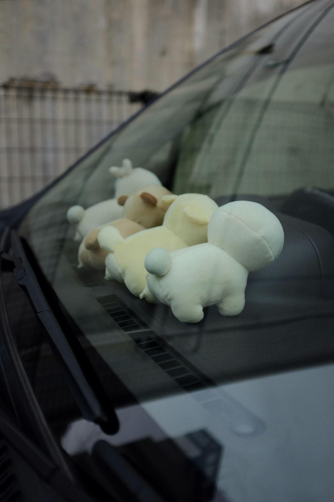 four white and yellow plush toys in vehicle