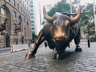The iconic bronze bull statue at Amsterdam Beursplein under a clear sky, symbolizing financial strength.