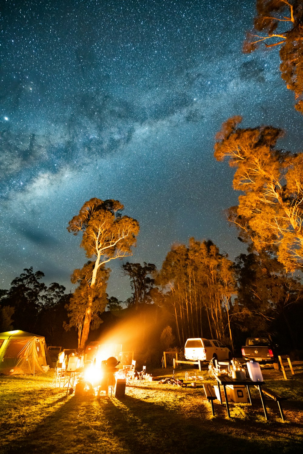 cars parked near trees during night time