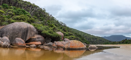 boulders facing body of water in Tidal River Australia