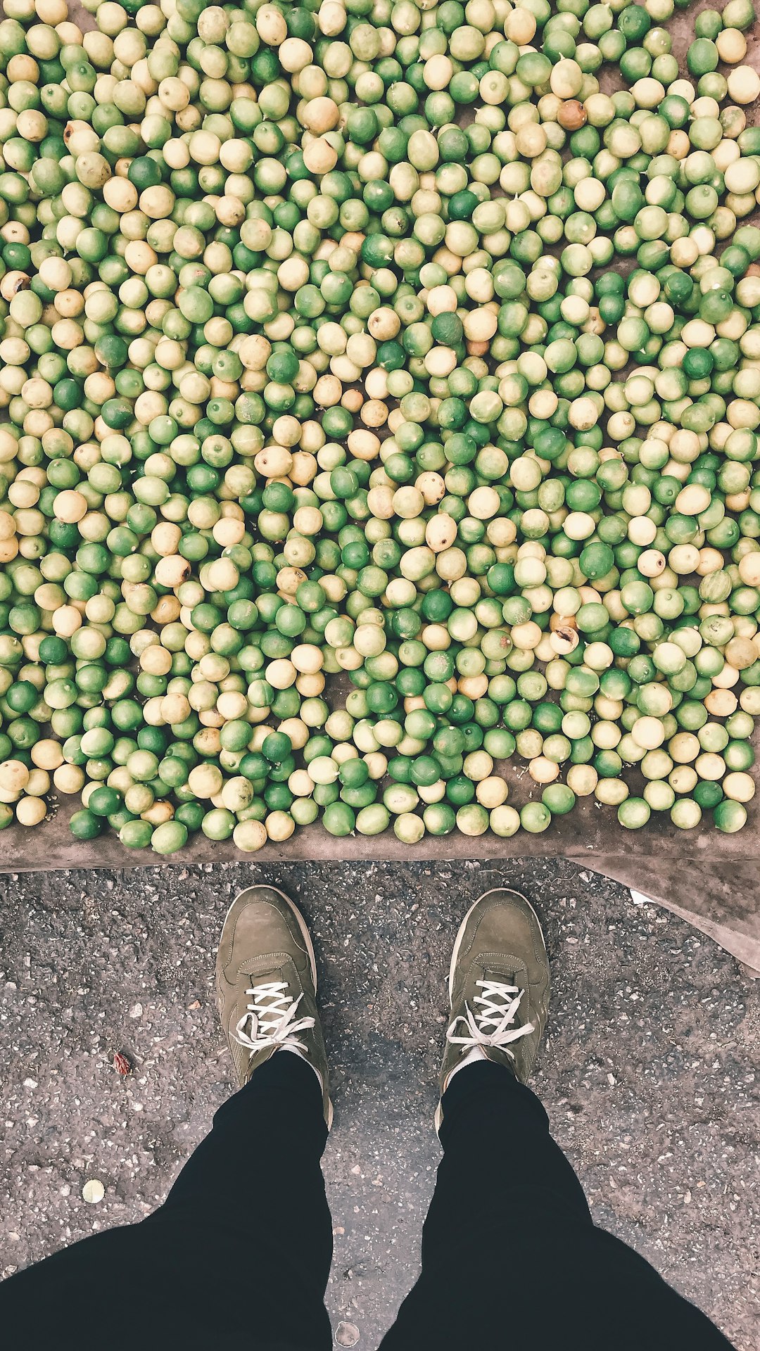 round green and yellow fruit lot