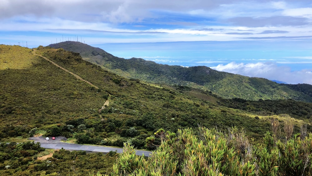 Vista aérea da floresta