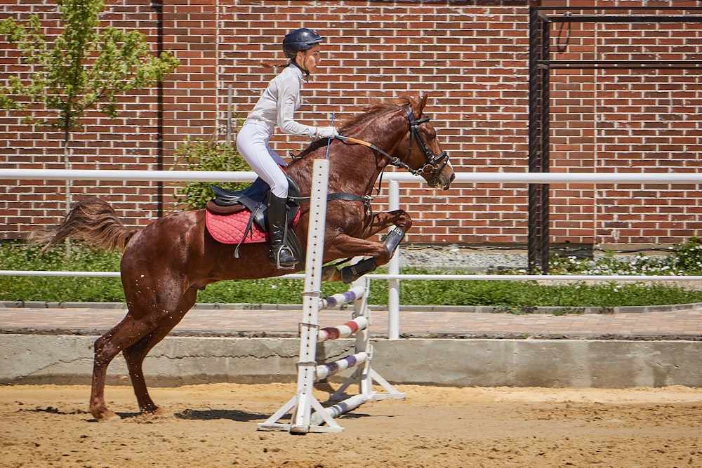 person riding brown horse