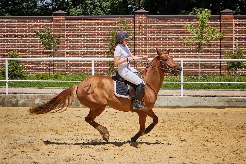 woman riding brown horse