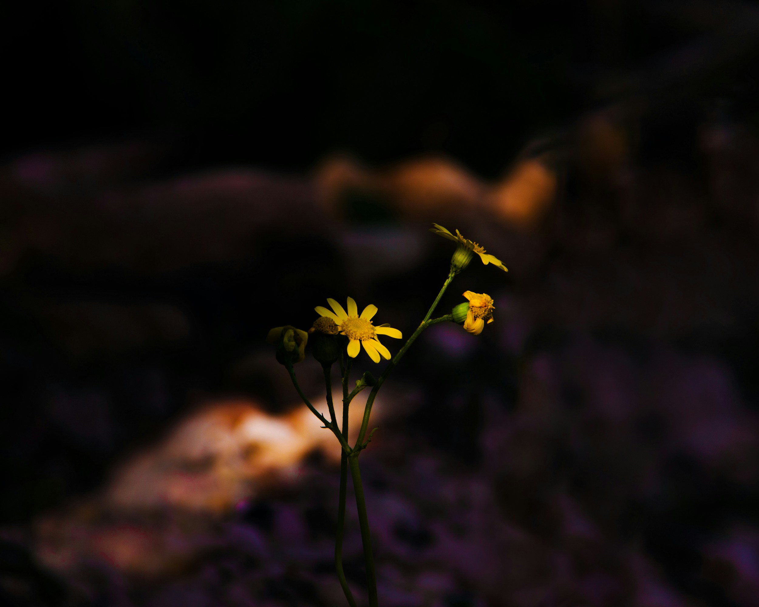 Photo by yeganeh2155