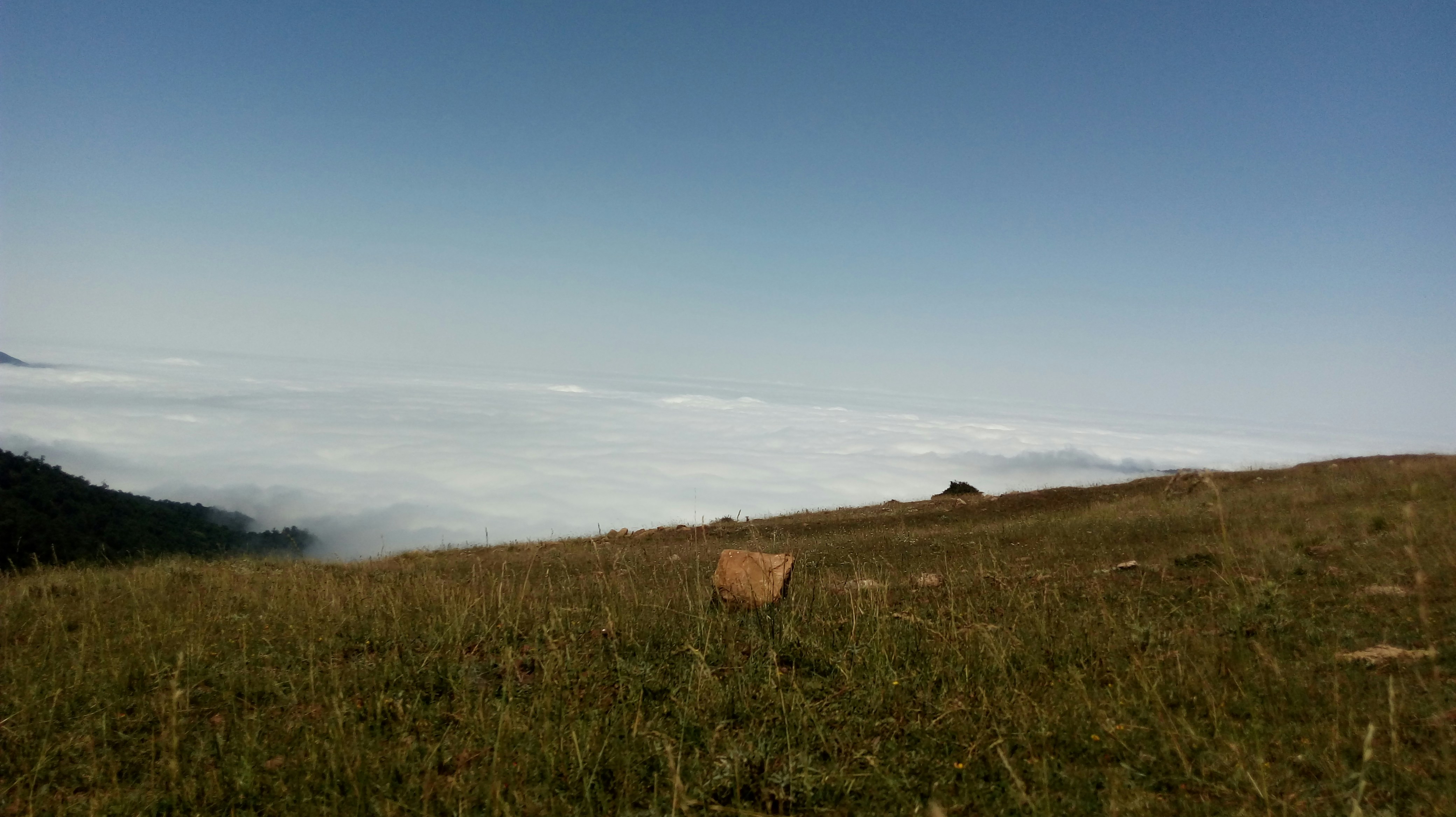 Photo by mostafashahri