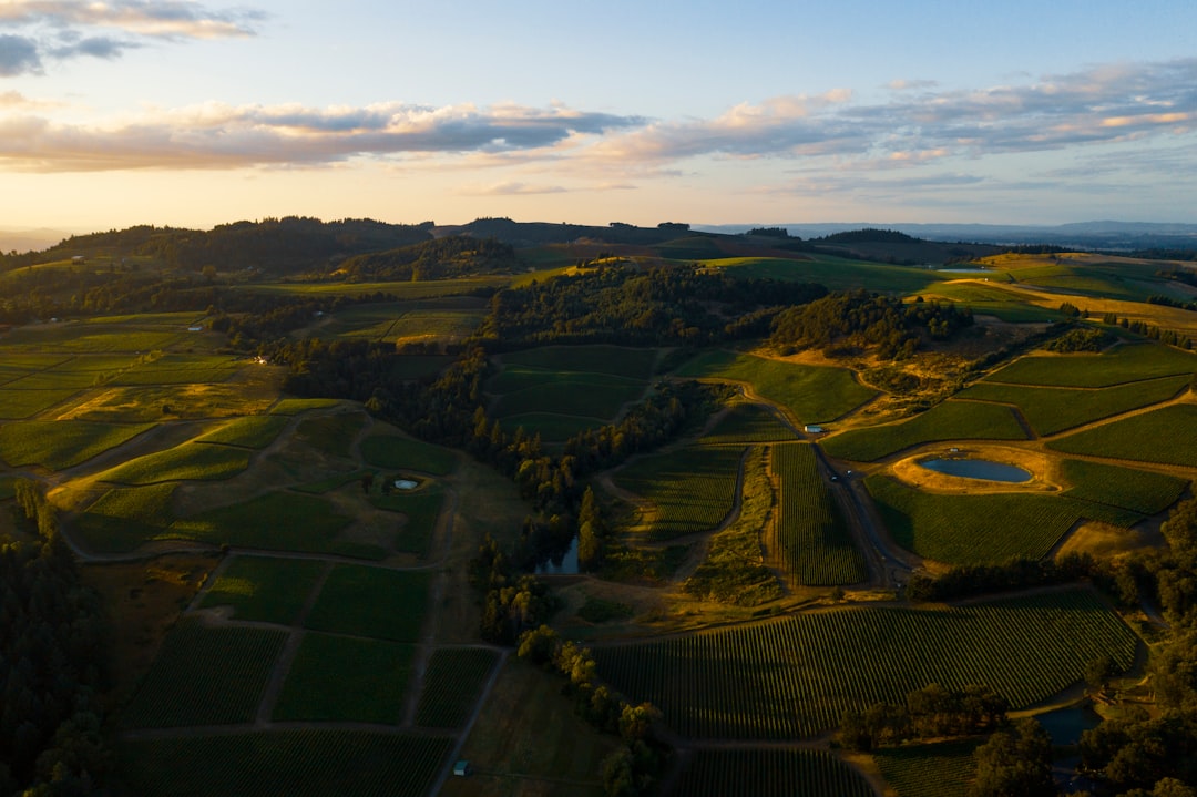 Hill photo spot Vineyards Oregon