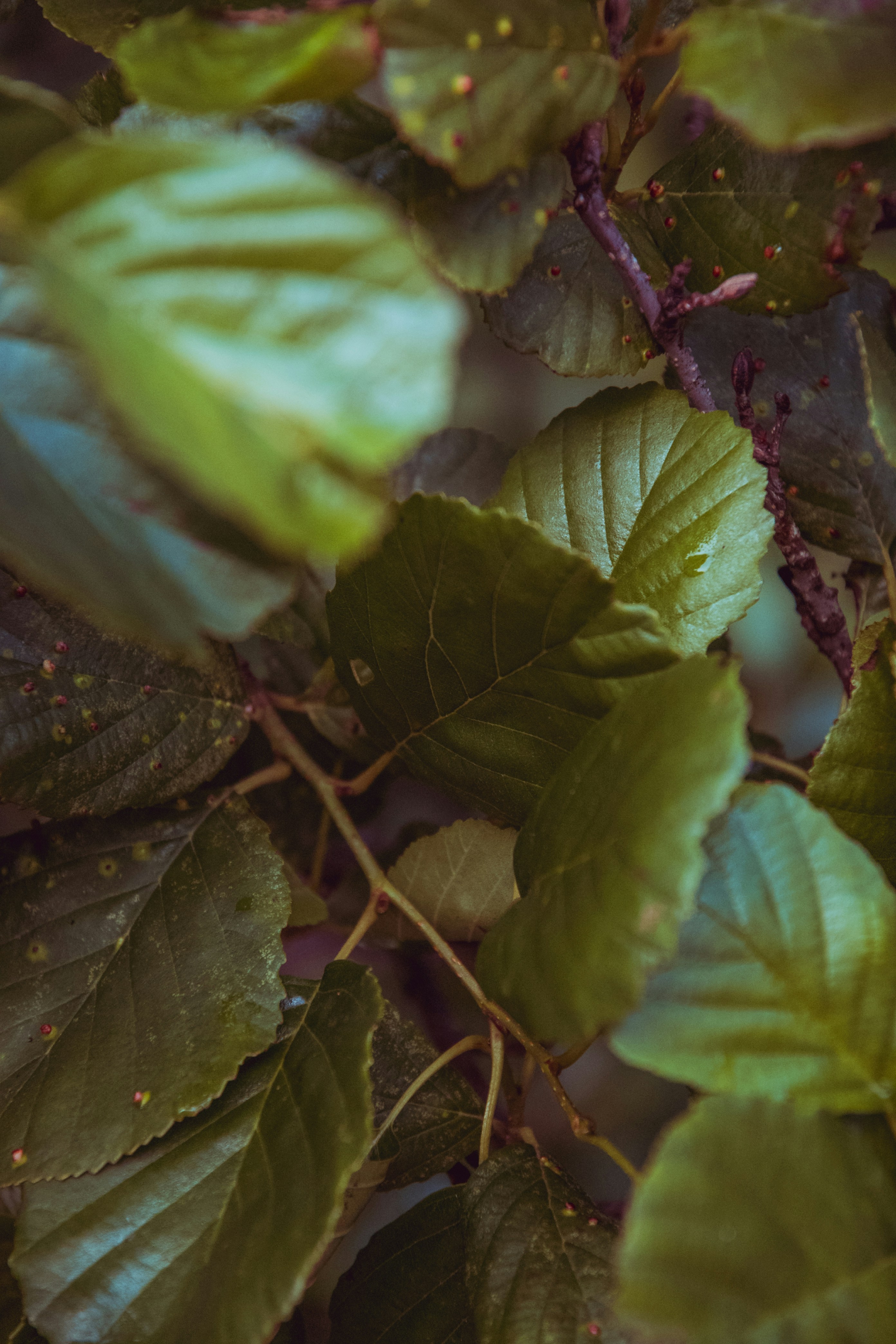 Photo by katerinalandia