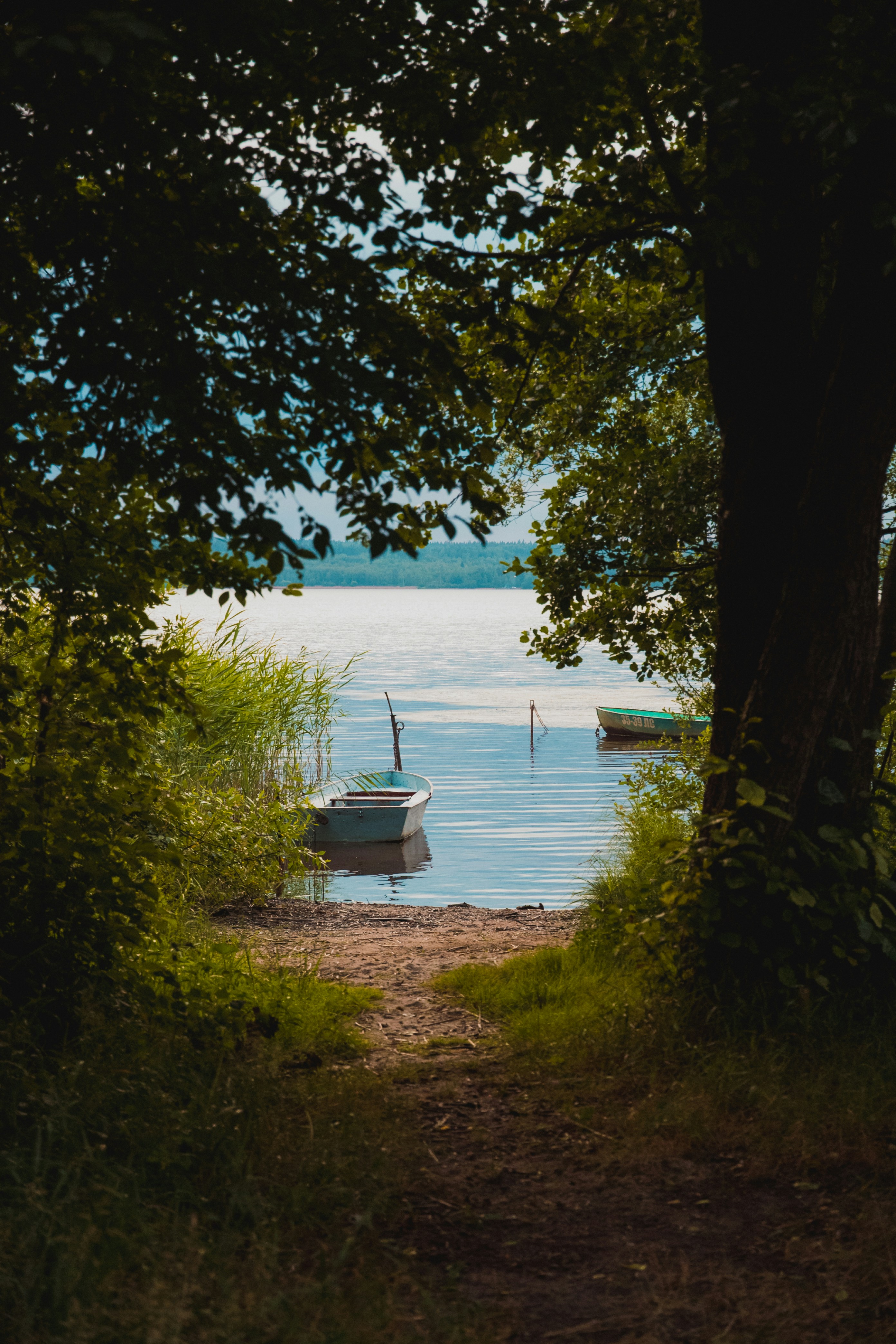 Photo by katerinalandia