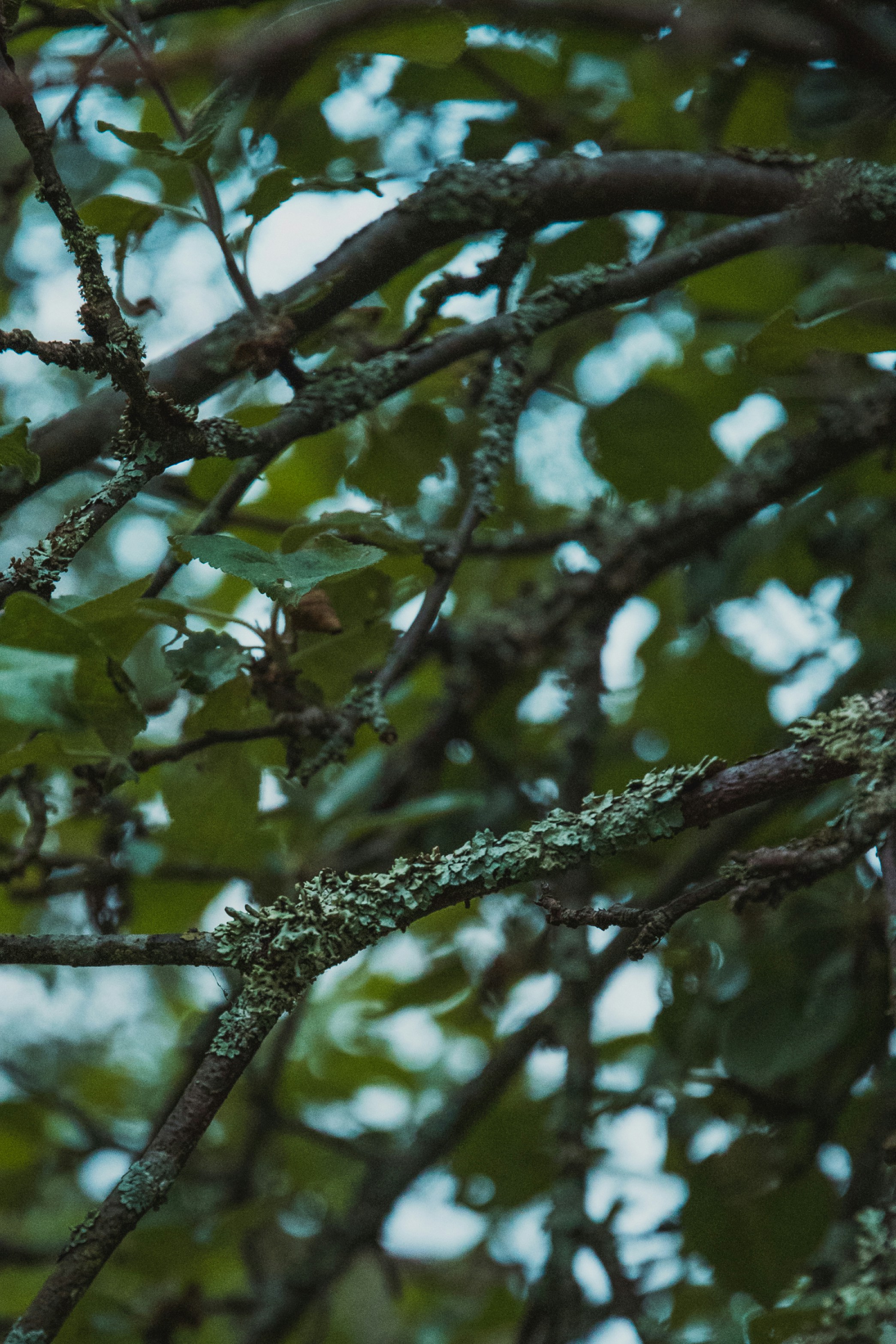 Photo by katerinalandia