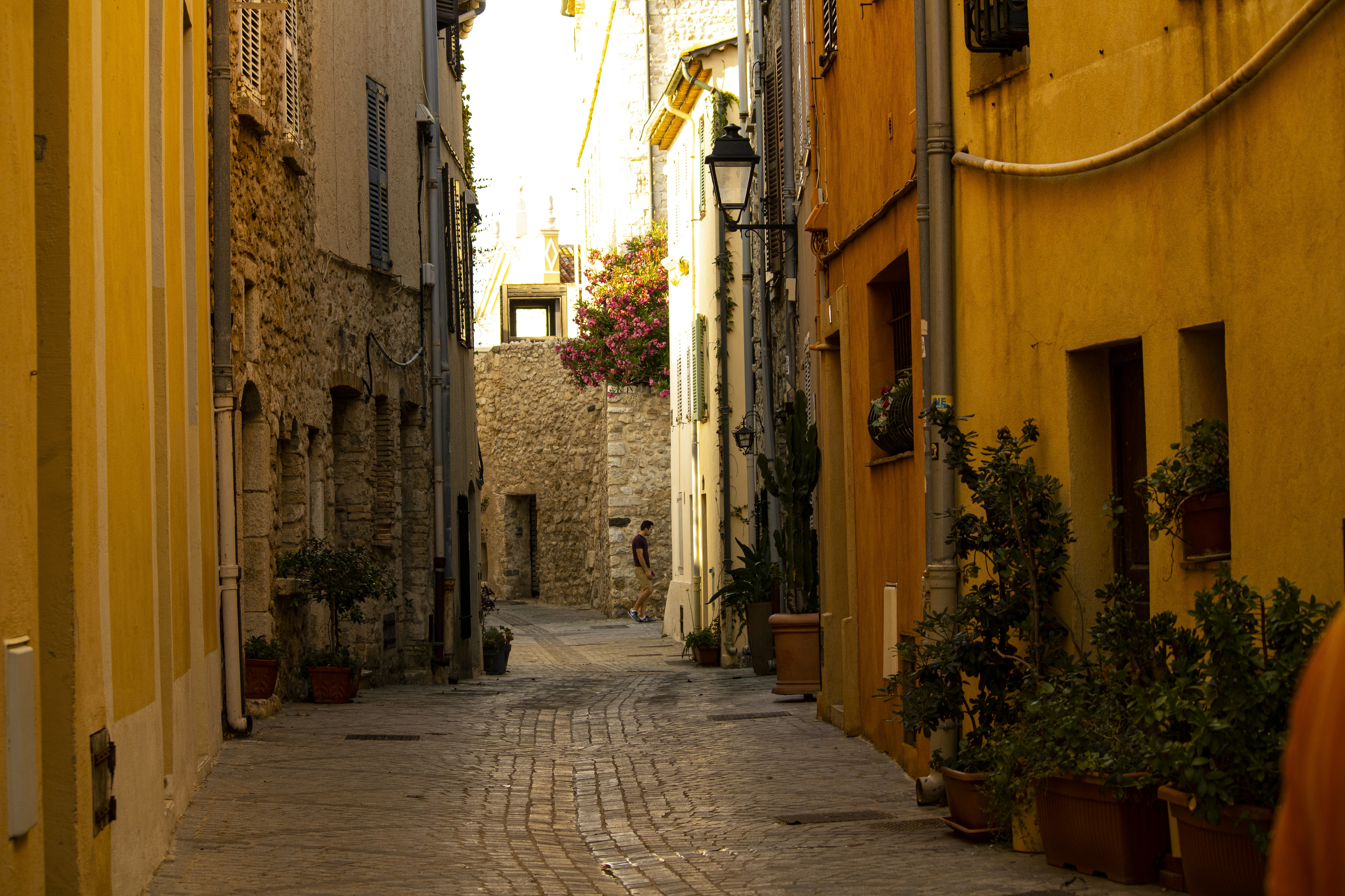 Photo by photosbypedersen