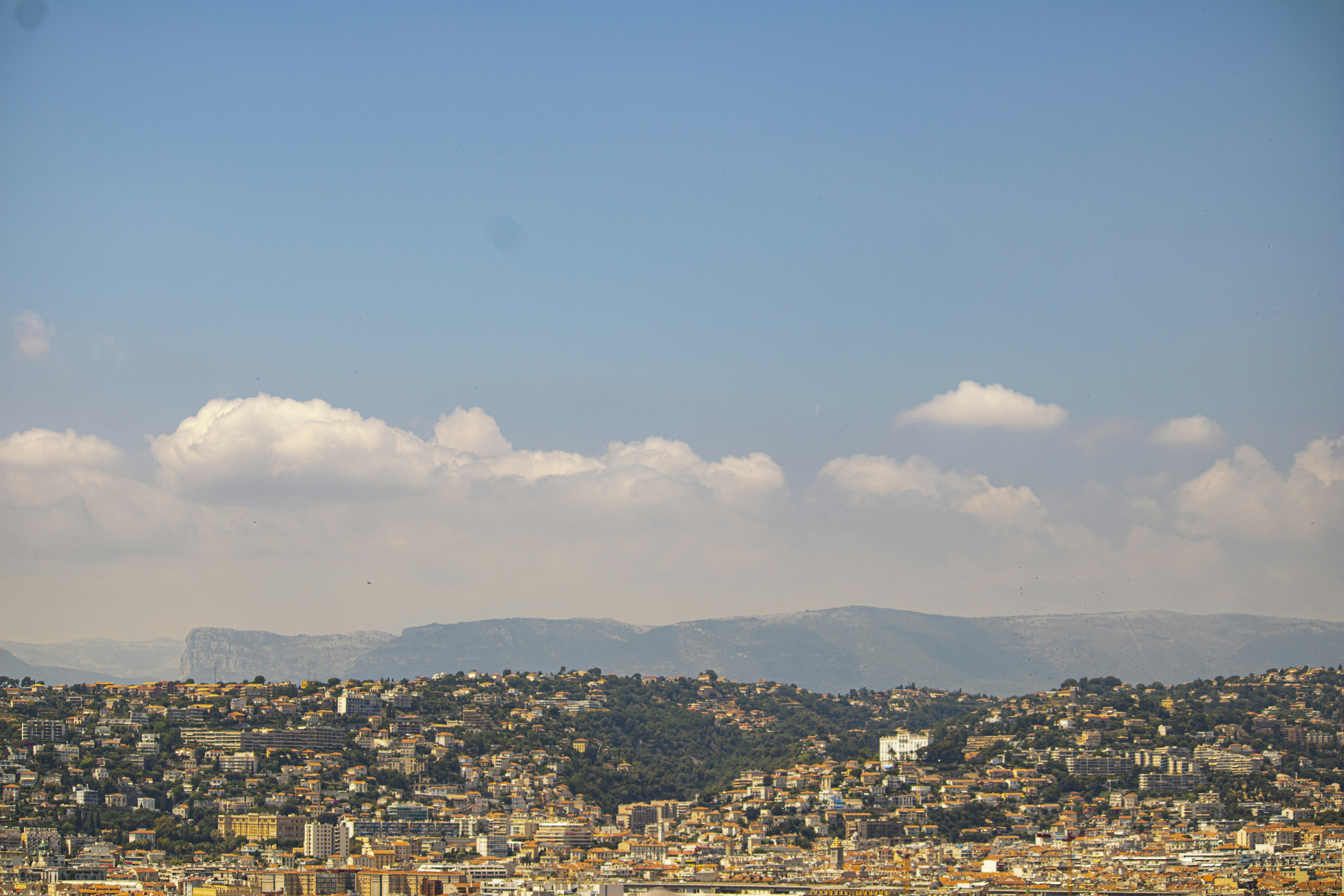 Photo by photosbypedersen