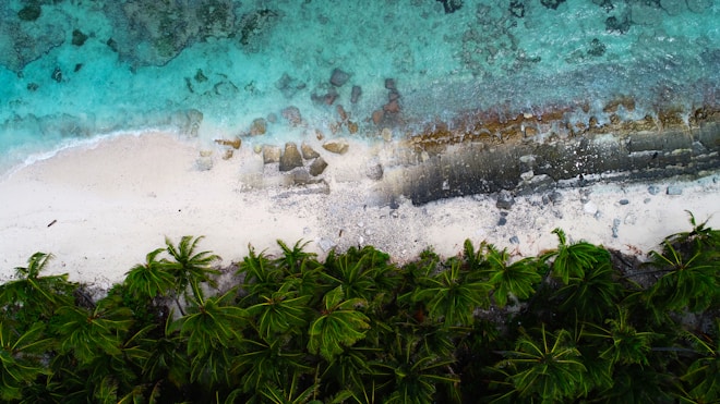 An aerial view of a tropical beach featuring clear turquoise waters gently lapping onto a sandy shoreline. Palm trees create a lush green border along the beach, while some rocks are scattered near the shoreline. The water gradually deepens in color away from the shore.