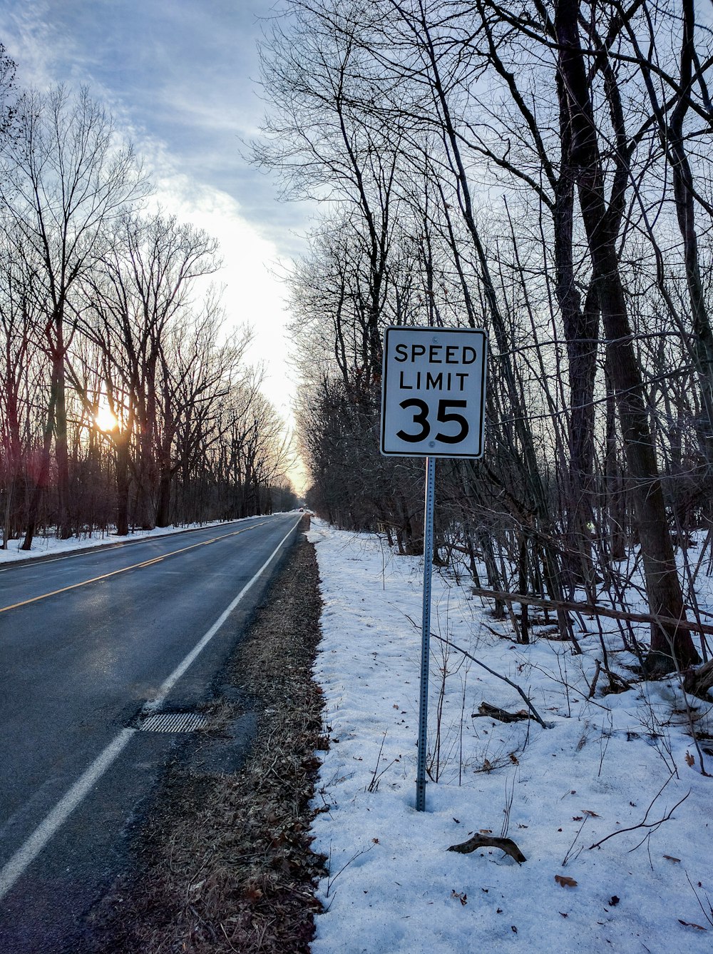 road beside speed limit 35 signboard near bare trees during winter