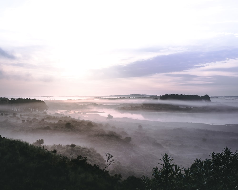 mountain covered with fogs