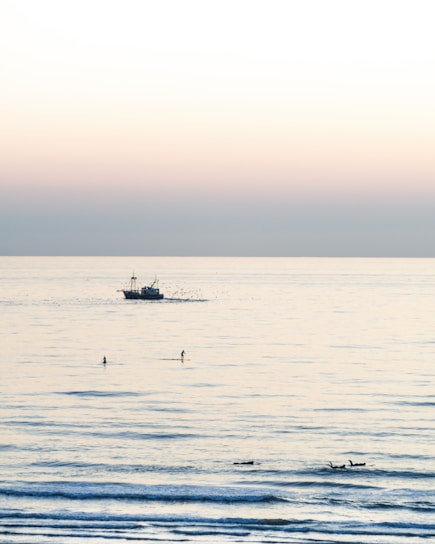 A serene ocean shore at sunrise with a small group preparing for a peaceful paddleboarding session.