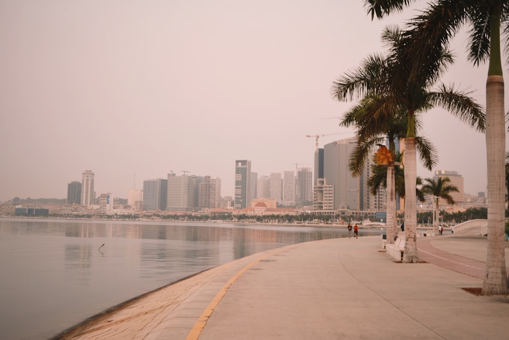 concrete buildings beside calm sea