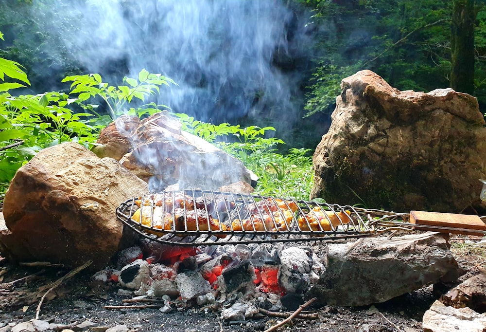 Carne alla griglia vicino alle cascate panoramiche rocciose